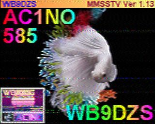 SSTV Fish