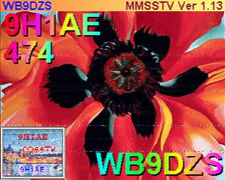 SSTV Flower